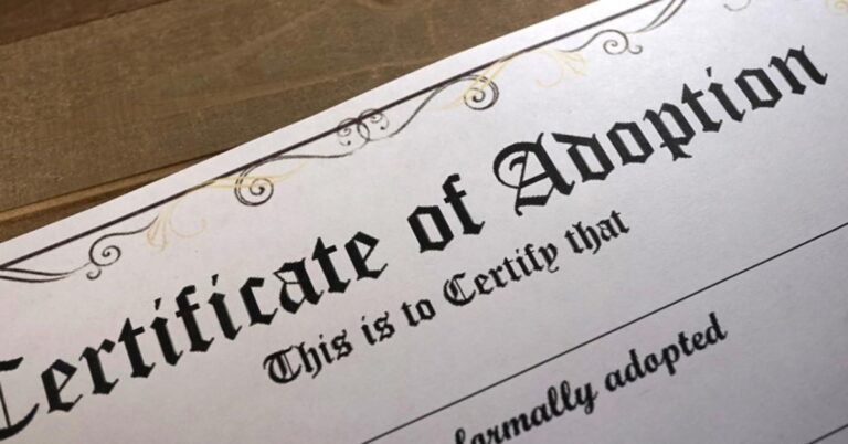 Close zoom of an Adoption Certificate